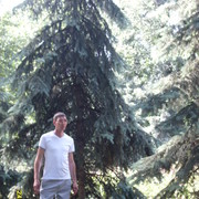 ���������� �����, ���� ������� �����, 47 ���, ������������ ��� ������