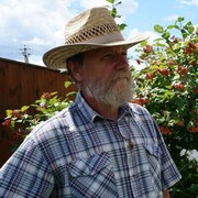  ,   , 77 ,  