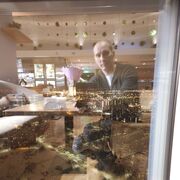 ���������� �����-���������, ���� ������� ������, 43 ����, ������������ ��� ������, ����� � ���������, c�������� ���������, ���������