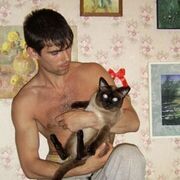 ���������� �����, ���� ������� �������, 43 ����, ������������ ��� c�������� ���������