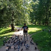  -,   , 41 ,   ,   