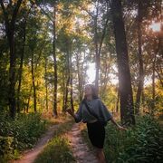 ���������� ������-��-����, ���� ������� ����, 31 ���, ������������ ��� ���������