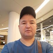 ������ ����