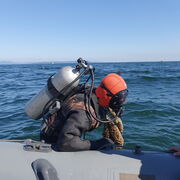 ���������� �����-���������, ���� ������� ������, 38 ���, ������������ ��� ������, ����� � ���������