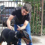 ���������� ������, ���� ������� �����, 26 ���, ������������ ��� ������, ����� � ���������