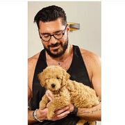 ���������� ������, ���� ������� �����, 36 ���, ������������ ��� ����� � ���������, c�������� ���������