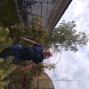 ���������� �����, ���� ������� ��������, 74 ����, ������������ ��� ����� � ���������, c�������� ���������