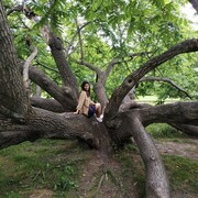 ���������� ������, ���� ������� ���, 32 ����, ������������ ��� ������, ����� � ���������