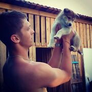 ���������� ������, ���� ������� �������, 31 ���, ������������ ��� ������, ����� � ���������, ���������