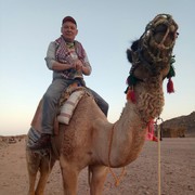 ���������� �����, ���� ������� Sergio, 43 ����, ������������ ��� ������, ����� � ���������, c�������� ���������