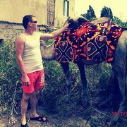 ���������� �������, ���� ������� ������, 38 ���, ������������ ��� ������, ����� � ���������, c�������� ���������