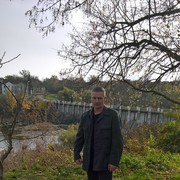  -,   , 43 ,   