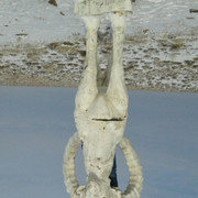 ���������� ������, ���� ������� �����, 46 ���, ������������ ��� ����� � ���������, c�������� ���������