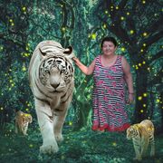  ,   , 59 ,   ,   