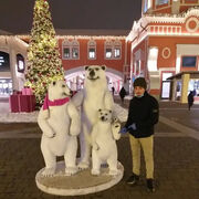 ���������� ������, ���� ������� ��������, 30 ���, ������������ ��� ������, ����� � ���������