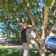 ���������� �����, ���� ������� ����, 45 ���, ������������ ��� ������, ����� � ���������, c�������� ���������, ���������