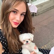 ���������� �����������, ���������