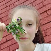  ,   , 20 ,   