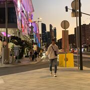 ���������� ��������, ���� ������� ������, 29 ���, ������������ ��� ������, ����� � ���������