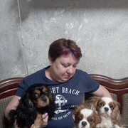 ���������� ���������, ���� ������� �������, 49 ���, ������������ ��� c�������� ���������