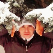  ,   , 41 ,   