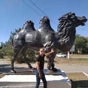 ���������� ����������, ���� ������� ���������, 38 ���, ������������ ��� ������, ����� � ���������, c�������� ���������