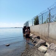 ���������� �����-���������, ���� ������� �������, 42 ����, ������������ ��� ����� � ���������, c�������� ���������