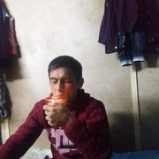 ���������� ����, ���� ������� Elik, 50 ���, ������������ ��� ������, ����� � ���������, c�������� ���������