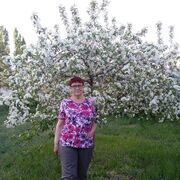  ,   , 62 ,   ,   