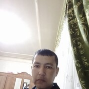 ���������� �������, ���� ������� Sardor, 38 ���, ������������ ��� ������, ����� � ���������, c�������� ���������