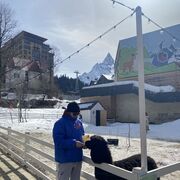 ���������� ������, ���� ������� �������, 27 ���, ������������ ��� ������, ����� � ���������