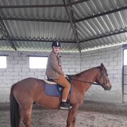  --,   , 33 ,   ,   , c , 