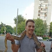 ���������� ������, ���� ������� ����, 28 ���, ������������ ��� ������, ����� � ���������, c�������� ���������, ���������