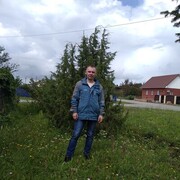 ���������� �����, ���� ������� �������, 44 ����, ������������ ��� ������, ����� � ���������