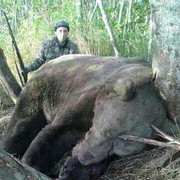 ���������� ������, ���� ������� ��������, 51 ���, ������������ ��� ������, ����� � ���������, c�������� ���������