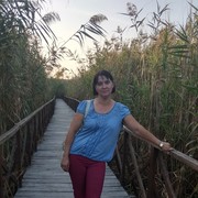  ,   , 51 ,   c 