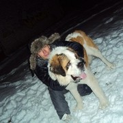 ���������� ������, ���� ������� �������, 38 ���, ������������ ��� ������, ����� � ���������, c�������� ���������