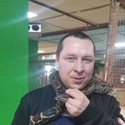  ,   , 41 ,   ,   