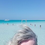  ,   , 51 ,  