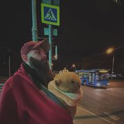 ���������� ������, ���� ������� ���������, 31 ���, ������������ ��� ������, ����� � ���������, c�������� ���������