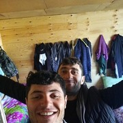 ���������� ������, ���� ������� Ara, 34 ����, ������������ ��� ������, ����� � ���������, c�������� ���������