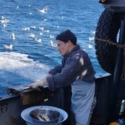 ���������� �����������, ���� ������� ����, 28 ���, ������������ ��� ������, ����� � ���������