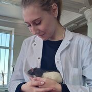 ���������� ���������, ���������