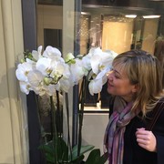 ���������� ������, ���� ������� ��������, 49 ���, ������������ ��� ������, ����� � ���������, c�������� ���������