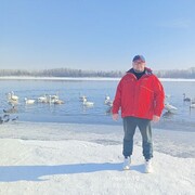 ���������� �������, ���� ������� ����, 48 ���, ������������ ��� ���������