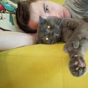 ���������� ���������, ���� ������� ������, 33 ����, ������������ ��� ������, ����� � ���������, c�������� ���������