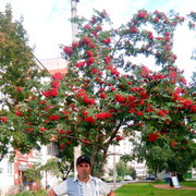 ���������� ������, ���� ������� ����, 43 ����, ������������ ��� ������, ����� � ���������, c�������� ���������