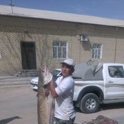  ,  serdar, 42