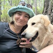 ����, �������