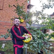  ,   , 43 ,     